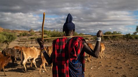 It S Like Killing Culture Human Rights Impacts Of Relocating Tanzania S Maasai Hrw