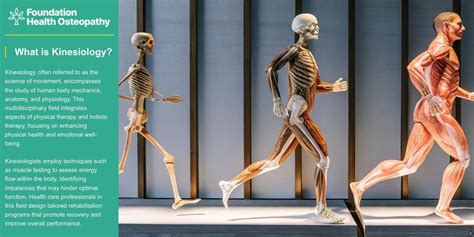 Kinesiology Kinesiology Kinesiology Kinesiology