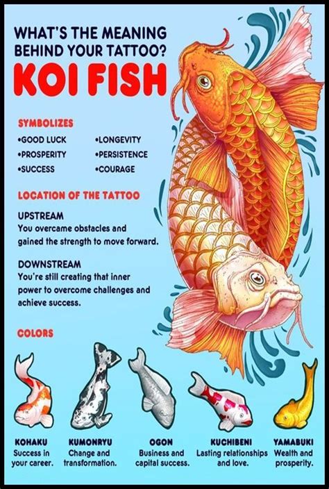 Koi Fish Tattoo Meaning From Myth To Masterpiece Koi Fish Tattoo Meaning From Myth To Masterpiece