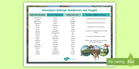 Ks2 Rainforest Descriptive Writing Word Mat