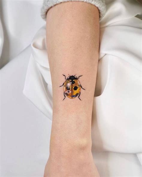 7 Lady Beetle Tattoo Ideas