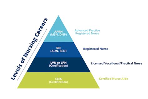 Levels Of Nursing Explained Intelycare Levels Of Nursing Explained Intelycare