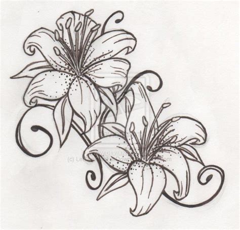 Lily Flowers Drawings Tiger Lily Tattoo Designs Tattoo Design Tiger Lily By Lguest On Lily Flowers Drawings Tiger Lily Tattoo Designs Tattoo Design Tiger Lily By Lguest On