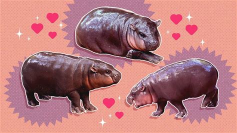 Look Who Paid A Visit To The Penn Libraries Be Like Moo Deng And Check Out These Fabulous Library Locations Fisherfineartslibrary Reading Room Ahh Everyone S Favorite Pull Up A Chair In Look Who Paid A Visit To The Penn Libraries Be Like Moo Deng And Check Out These Fabulous Library Locations Fisherfineartslibrary Reading Room Ahh Everyone S Favorite Pull Up A Chair In