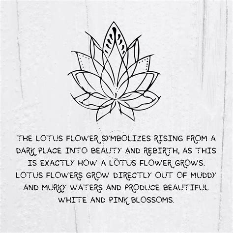 Lotus Flower Tattoo Ideas Meaning Tattoo Glee Lotus Flower Tattoo Ideas Meaning Tattoo Glee