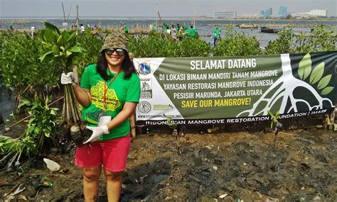 Mangrove Nusantara