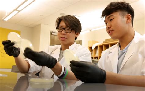 Mathematics Academy Penn Arts And Sciences High School Programs Mathematics Academy Penn Arts And Sciences High School Programs