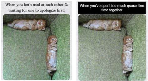 What is Meme Meaning