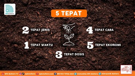 Menerapkan 5 Tepat Konsep Dasar Dalam Pemupukan Berimbang Menerapkan 5 Tepat Konsep Dasar Dalam Pemupukan Berimbang