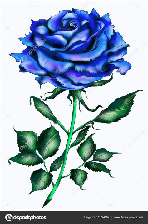 Mesmerizing Blue Rose For Our Gorgeous Client Pauline Pure Beauty In Every Detail Bluerose Rosetattoo Needleztattoo Wetattooart Tattooed By Joyzee Mesmerizing Blue Rose For Our Gorgeous Client Pauline Pure Beauty In Every Detail Bluerose Rosetattoo Needleztattoo Wetattooart Tattooed By Joyzee
