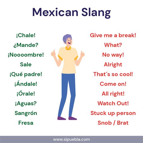 Mexico Slang Spanish Slang Words Spanish Slang Slang Words Mexico Slang Spanish Slang Words Spanish Slang Slang Words