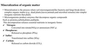 Mineralisation Of Organic And Inorganic Matter In Soil Pdfpdf Pdf Mineralisation Of Organic And Inorganic Matter In Soil Pdfpdf Pdf