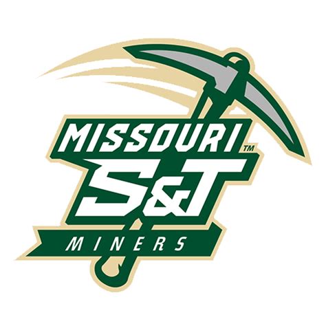 5 Tips Missouri S&T Canvas