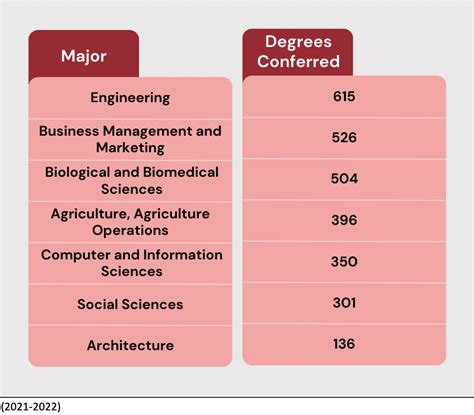 Most Popular Majors At Cornell Tkg Most Popular Majors At Cornell Tkg