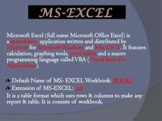 Ms Excel Assignment Help Pptx