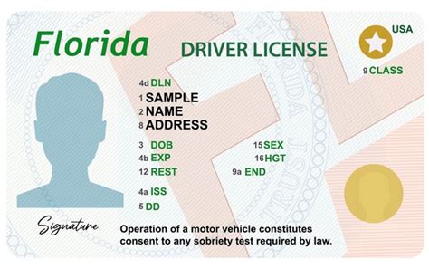 Naples Florida Drivers License Naples Florida Drivers License