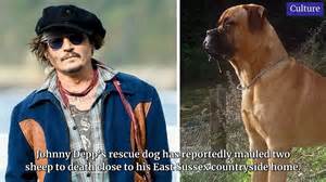 Nationalworld Celebrity Update 6 June 2025