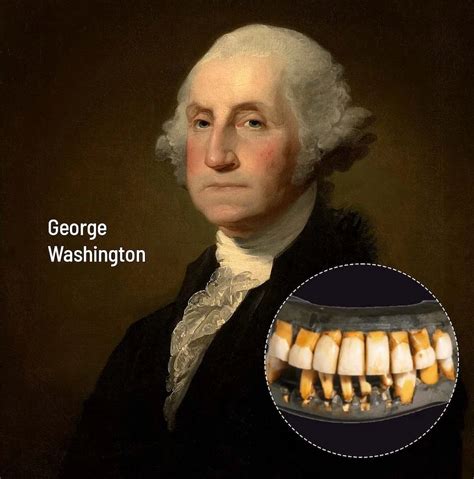 No George Washington Didn T Have Wooden Teeth Yes He Led The Siege Of Boston Ktsm 9 News No George Washington Didn T Have Wooden Teeth Yes He Led The Siege Of Boston Ktsm 9 News