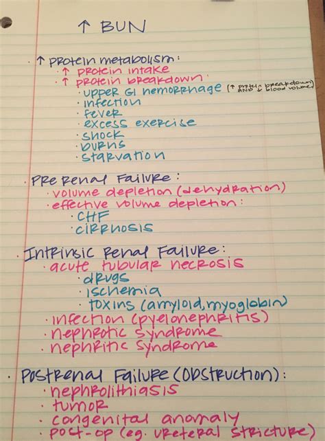 Nursing Interventions for High BUN Levels