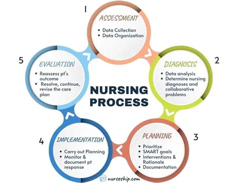 Nursing Process Adpie Steps Explained Pdf Business Nursing Process Adpie Steps Explained Pdf Business