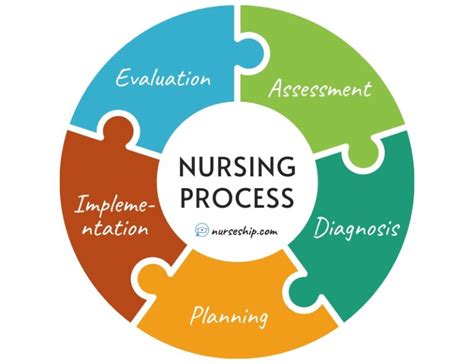 Nursing Process Overview Adpie Steps Pdf Nursing Medical Diagnosis Nursing Process Overview Adpie Steps Pdf Nursing Medical Diagnosis