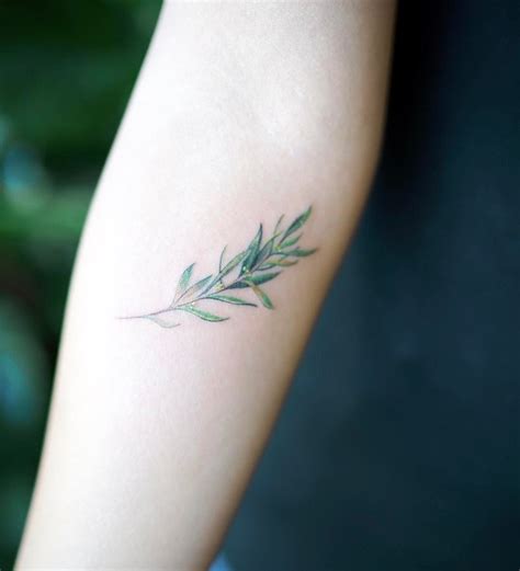 Olive Branch Tattoo Ideas For Peaceful And Tender People Olive Branch Tattoo Ideas For Peaceful And Tender People