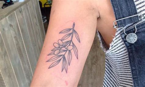 Olive Tattoos Symbol Of Peace Or Victory Favvosee Olive Tattoos Symbol Of Peace Or Victory Favvosee