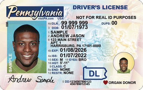 Organ Donation Driver And Vehicle Services Commonwealth Of Pennsylvania Organ Donation Driver And Vehicle Services Commonwealth Of Pennsylvania