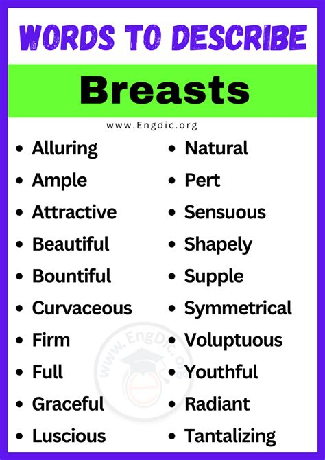Breast Synonyms Revealed