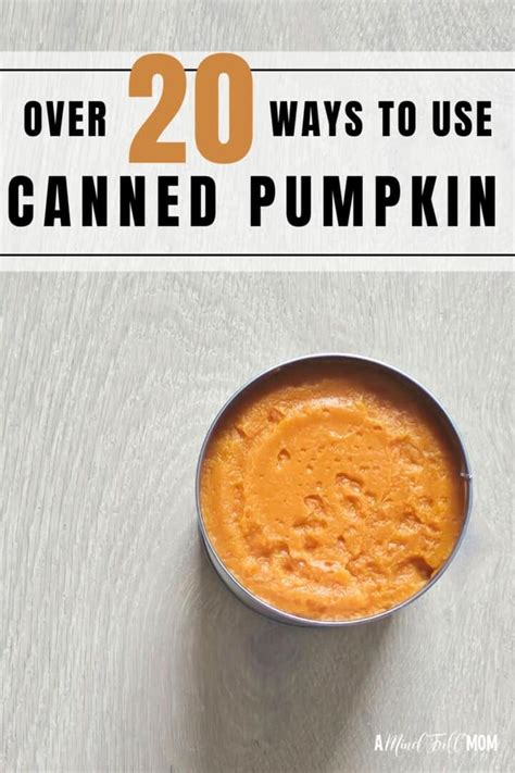 Over 20 Ways To Use Canned Pumpkin Sweet Amp Savory