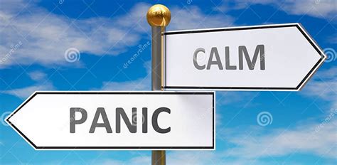 Panic And Calm As Different Choices In Life Pictured As Words Panic Calm On Road Signs Pointing At Opposite Ways To Show That Stock Illustration Illustration Of Option Road 187481968