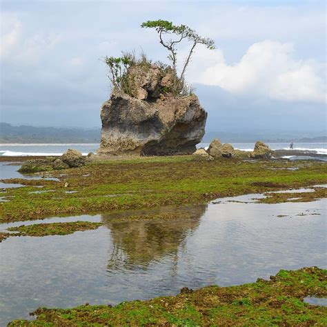 Pantai Way Hawang Pantai Yang Cocok Bagi Yang Suka Dengan Kedamaian Destinasi Travel Indonesia Pantai Way Hawang Pantai Yang Cocok Bagi Yang Suka Dengan Kedamaian Destinasi Travel Indonesia