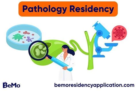 Pathology Residency In The Usa Insights Essentials Speaker Dr Madison Carter Pathology Resident University Of California Irvine Date Sunday March 23 2025 Time 5 Pm Uk Time