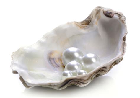 Pearl Jewelry Guide Zales