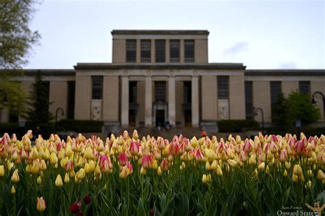 Penn State Library East Entrance To Close Temporarily Undergo Renovations Throughout Summer Penn State Library East Entrance To Close Temporarily Undergo Renovations Throughout Summer