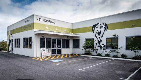 Penn Vet Emergency Hospital Vet Penn Vet Vet Hospital For Dogs Dog Converse Vet Clinic Penn Penn Vet Emergency Hospital Vet Penn Vet Vet Hospital For Dogs Dog Converse Vet Clinic Penn