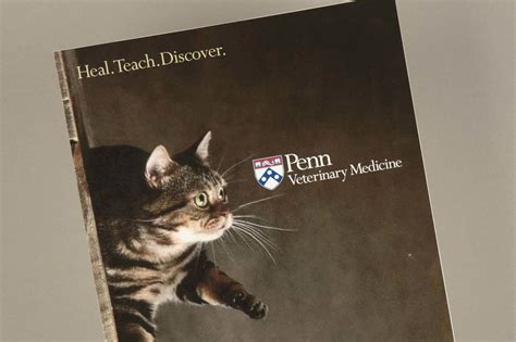 Penn Vet Modern Sbc Strategic Branding And Communications Penn Vet Modern Sbc Strategic Branding And Communications