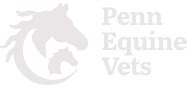5 Tips Penn Vets