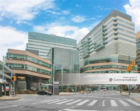 Perelman School Of Medicine Updated February 2026 3400 Civic Center Blvd Philadelphia Pennsylvania Colleges Universities Yelp Perelman School Of Medicine Updated February 2026 3400 Civic Center Blvd Philadelphia Pennsylvania Colleges Universities Yelp