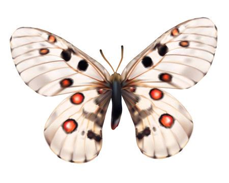 Phoebus Images Browse 64 055 Stock Photos Vectors And Video Adobe Stock Phoebus Images Browse 64 055 Stock Photos Vectors And Video Adobe Stock