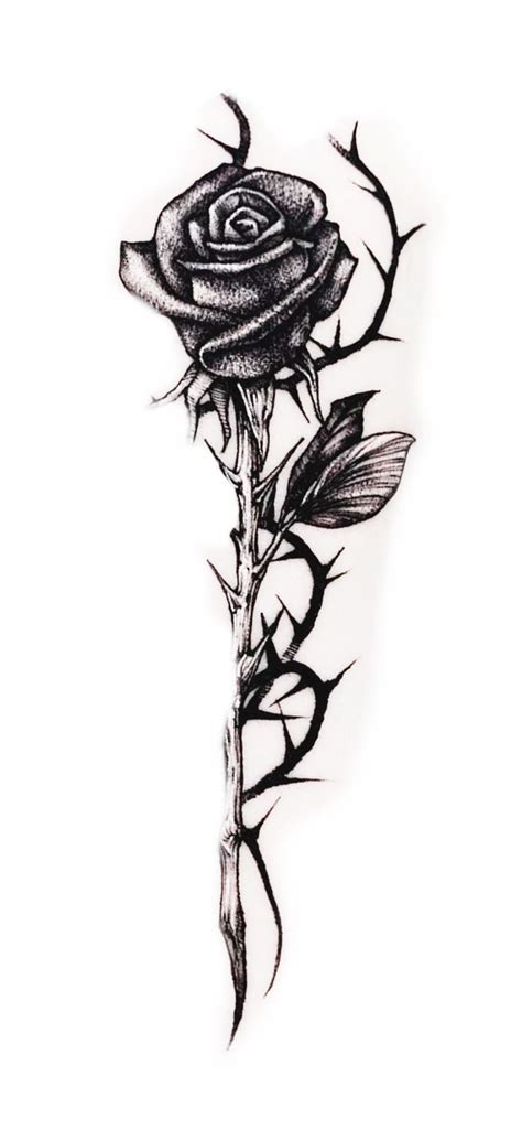 Pin By Kodi Miller On Quick Saves Unique Tattoos For Men Rose Tattoos For Men Thorn Tattoo Pin By Kodi Miller On Quick Saves Unique Tattoos For Men Rose Tattoos For Men Thorn Tattoo