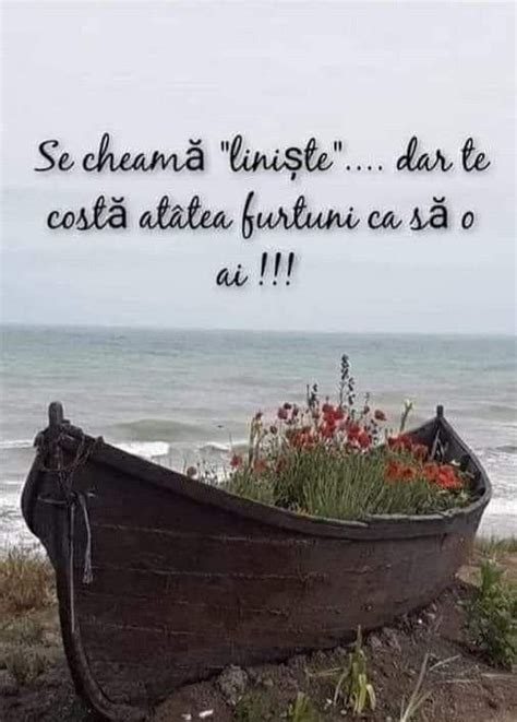 Pin By Maru Ka Srchov On Cit Ty Inspirational Quotes True Words Quotations