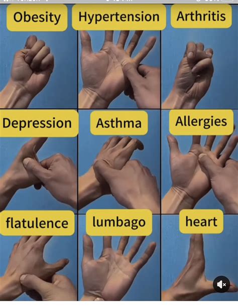 Pin By Patti Shute On Random Interesting Facts And Information In 2025 Acupressure Therapy Pin By Patti Shute On Random Interesting Facts And Information In 2025 Acupressure Therapy