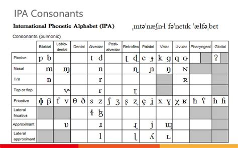 Ppt English Consonants In Ipa International Phonetic Alphabet Powerpoint Presentation Id 4771706 Ppt English Consonants In Ipa International Phonetic Alphabet Powerpoint Presentation Id 4771706
