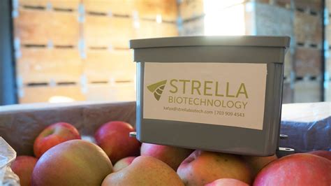 President S Innovation Prize Winner Strella Biotechnology Raises 3 3 Million In Seed Funding President S Innovation Prize Winner Strella Biotechnology Raises 3 3 Million In Seed Funding