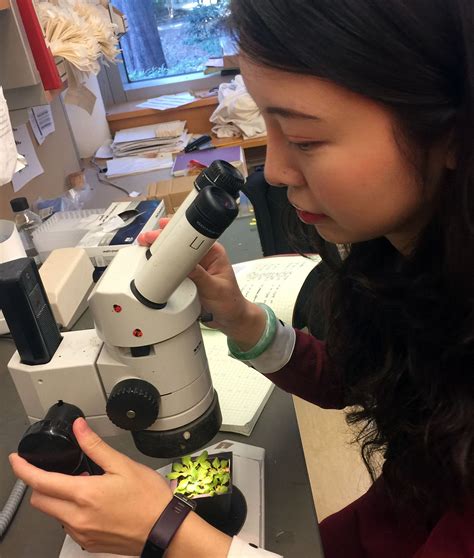 Producing New Biological Molecules Master Of Biotechnology Producing New Biological Molecules Master Of Biotechnology