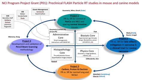 Program Project Grant P01 Translational Studies In Flash Particle Radiotherapy Department
