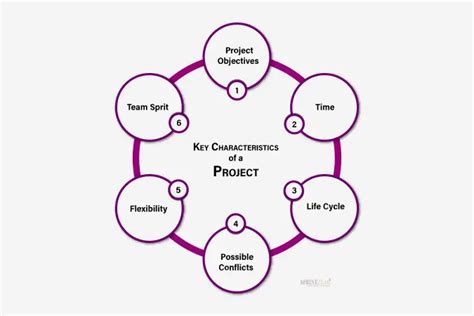 Project Characteristics Project Management Key Characteristics Project Characteristics Project Management Key Characteristics