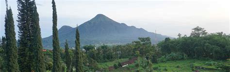 Puncak Trawas Wisata Pegunungan Dengan Udara Sejuk Dan Pemandangan Indah