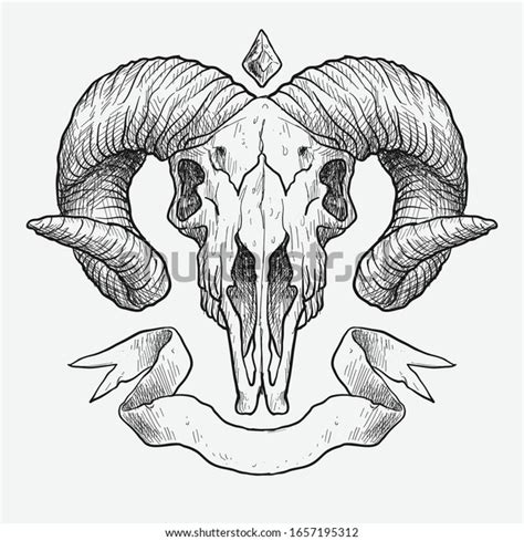 Ram Skull With Decorative Elements Tattoo Sketch Royalty Free Vector Vectorstock